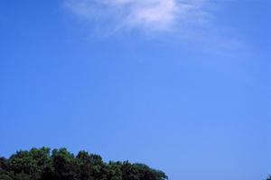 千葉県野田市の家族葬対応葬儀場【ティア野田】の特徴と最新情報