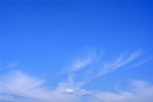 浜松市で安心・信頼の葬儀サービスを提供する【富士葬祭 高林】の詳細ガイド