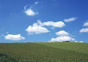 静岡・浜松市における家族葬専門の葬儀場「家族葬のタクセル葵西」の全て