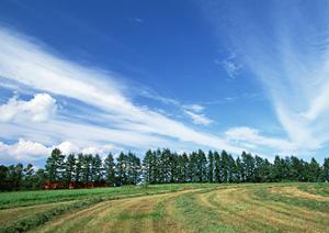 湿気や直射日光などを避けて欲しいです