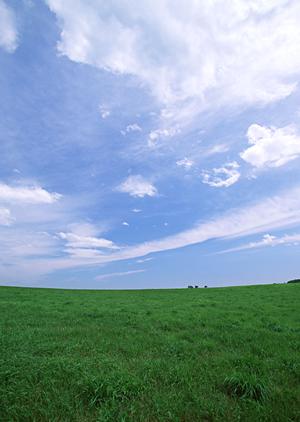 大小4つの式場がある大和総合ホール