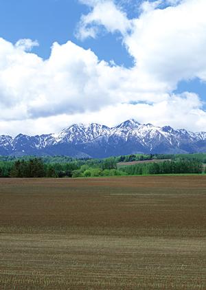 近年注目されている墓じまいとは