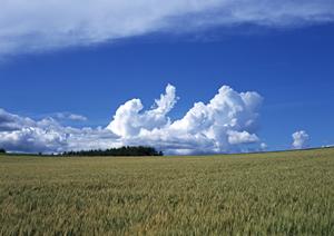 静岡県富士宮市の信頼の葬儀場【富士葬祭 三園平】詳細ガイド