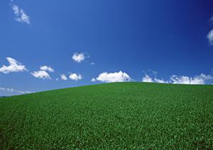 静岡県浜松市の家族葬に最適！家族葬のタクセル住吉の特徴と利用メリット