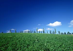 小平市の葬儀を安心・納得のサポートで叶える！最新の2025年版完全ガイド