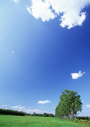 静岡市駿河区での信頼できる葬儀サービス：富士葬祭 豊田の特徴と利用ガイド