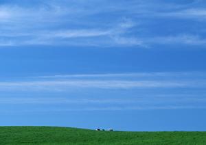 静岡市清水区にある安心の葬儀会館｜富士葬祭 双樹の特徴とサービス紹介