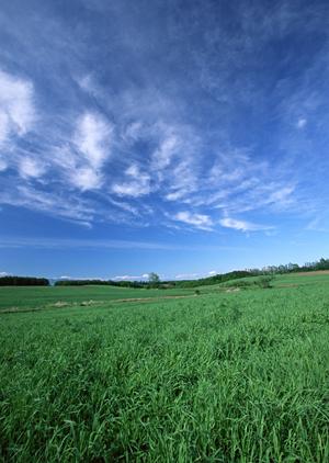 静岡市の家族葬に最適な小規模葬儀場【富士葬祭 中村町】の特徴と詳細情報