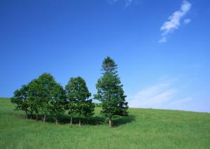 大切な人との別れを思いで深いものにする