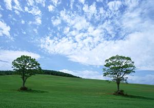 栃木県那須塩原市における信頼の葬儀サービス さがみ典礼 西那須野の詳細と魅力