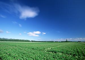 富士市原田にある安心の葬儀場【富士葬祭 富士原田】の特徴とサービス内容