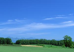 浄土真宗の東京にある新しいタイプの墓所
