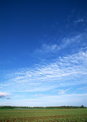 【公式情報】ティア越谷の葬儀サービスと特徴｜安心の家族葬・一般葬対応の葬儀場案内