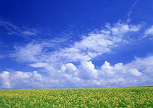 希望にあったお葬式を執り行うには