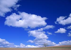 東京でおすすめの納骨堂について