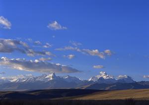 葛飾区近辺の永代供養墓はこちら