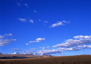 ハイテク機能を兼ね備えた最先端のお墓