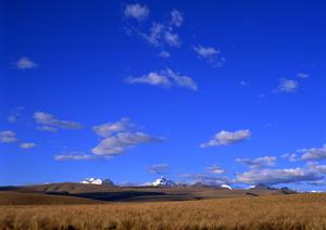 さいたま市なら地域密着の葬儀社で相談を