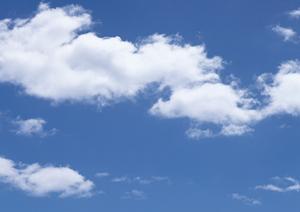 佐野市で選ばれる葬儀サービス｜さがみ典礼の特徴と実績、店舗情報ガイド