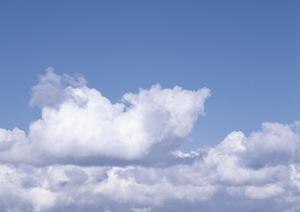 大阪で納骨堂費用が安いお寺