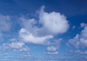 静岡市における安心・信頼の葬儀サービス【富士葬祭 瀬名】の特徴と店舗情報