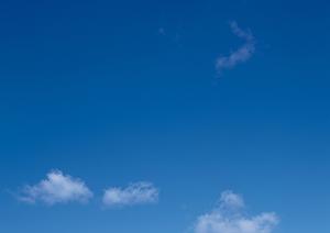 樹木葬を選択する人が増えている