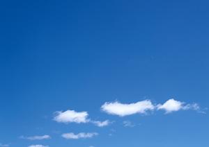 鹿児島で家族葬が相談できる葬儀会社