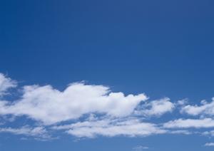 鹿児島でペット葬儀が評判の業者