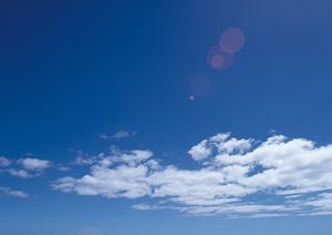 複数種類の骨壷を扱っているサイトです