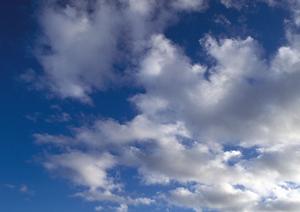 さいたま市で安心・信頼できる葬儀社