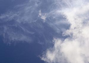 永代供養を栃木県で考えているなら