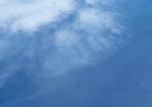 【タイトル例】信頼と実績の〇〇店：地域密着型の優れたサービスとお得な情報を提供