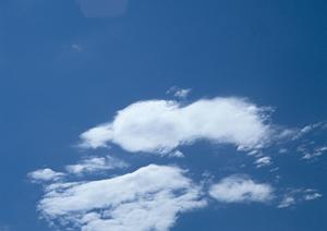 お葬式に関する情報が豊富で助かります