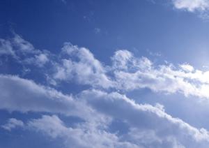 年中無休いつでも開演している霊園