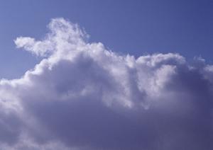 東京で新しい形の永代供養をお考えなら