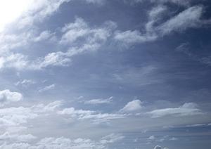 家族葬を低価格で安心して任せられる：家族葬のタクセル西朝日町の特徴と店舗情報