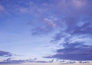 静岡県の家族葬・火葬・斎場一覧｜低価格・安心の葬儀サービス【家族葬のタクセル】