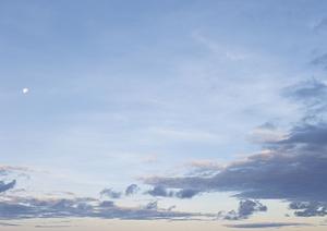 アクセスが良く静かな東京の墓地